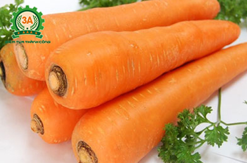 tác dụng của cà rốt, lợi ích của cà rốt, 