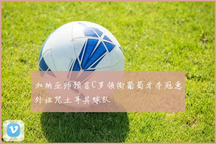 加纳巫师预言C罗领衔葡萄牙夺冠意外诅咒土耳其球队